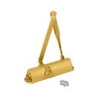 Доводчик дверной Dorma TS 68 EN 2/3/4 с рычагом, от 50 до 120кг (золото) (14)